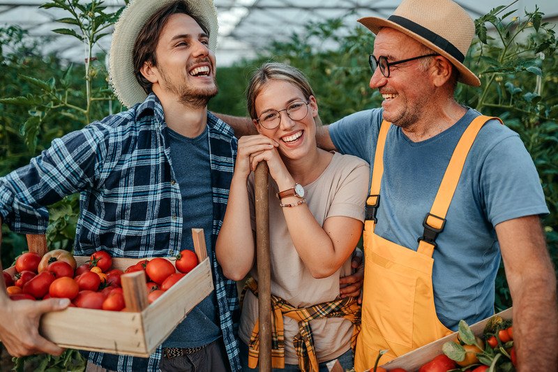 Three generations of a family laughing together while carrying crates of tomatoes through a greenhouse